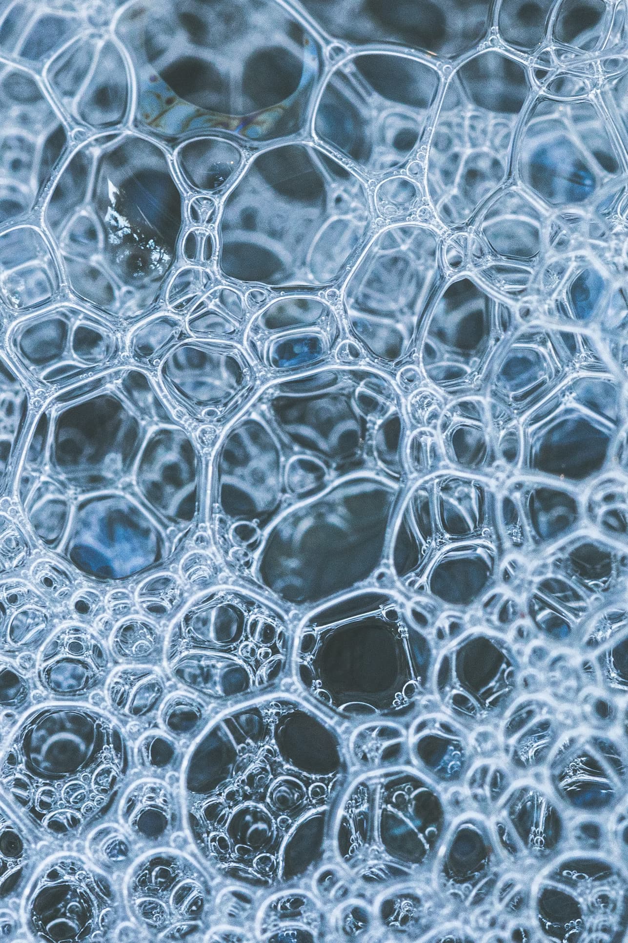 Bubbles