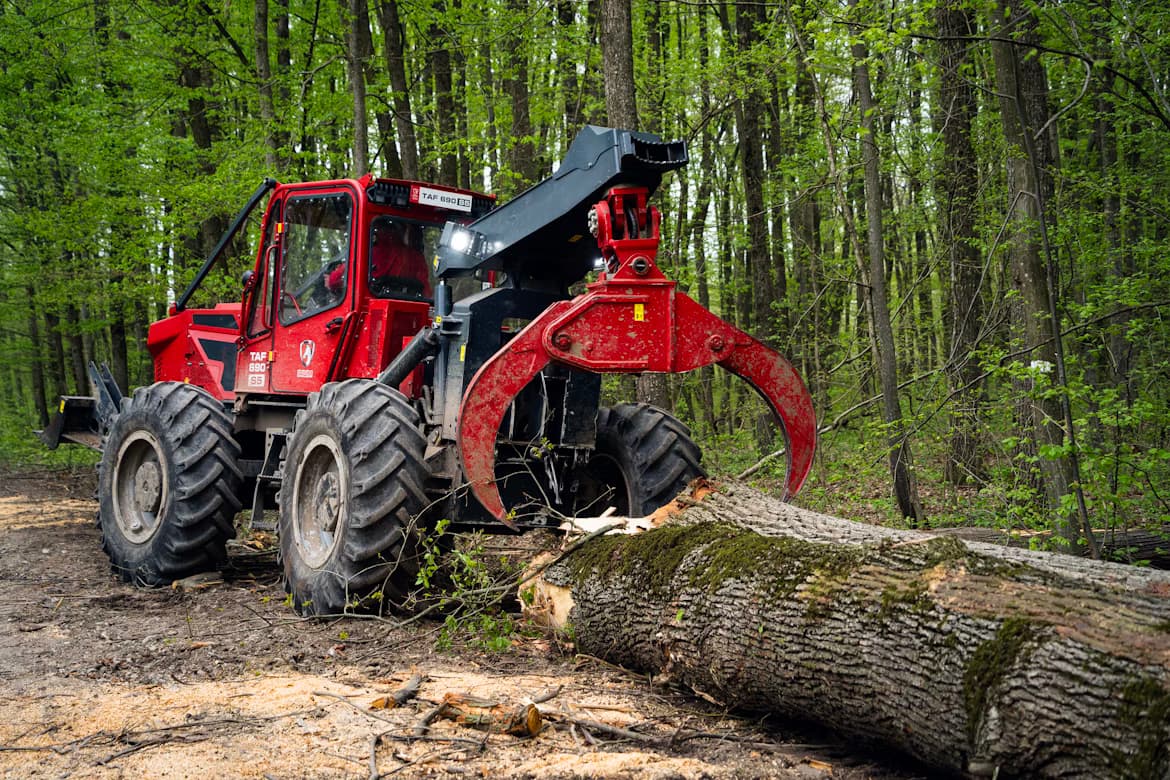 Forestry