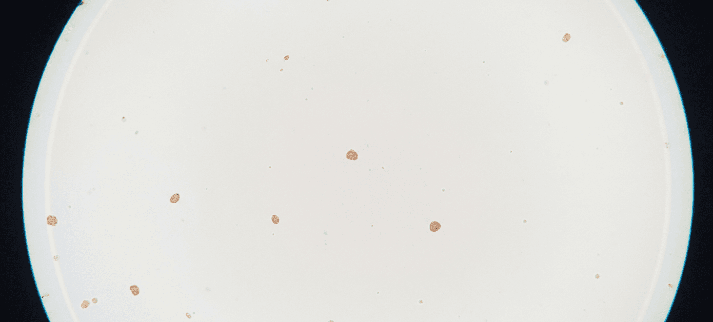 Particles
